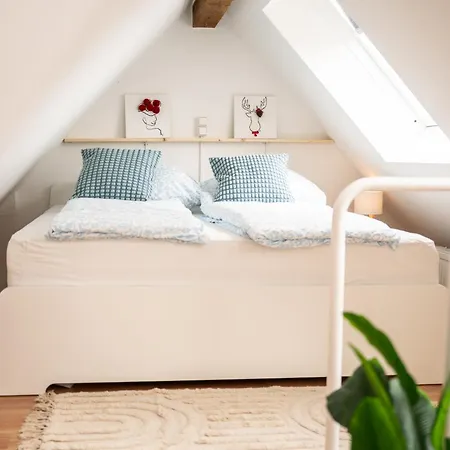 Black Forrest Base-zentral Am Martinstor Freiburg im Breisgau