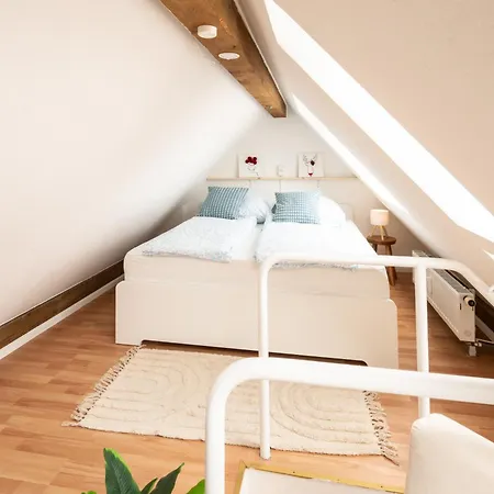 Black Forrest Base-zentral Am Martinstor