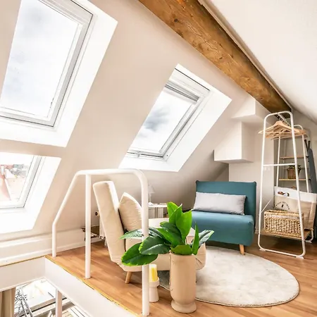 Dreamlike Maisonette Freiburg im Breisgau