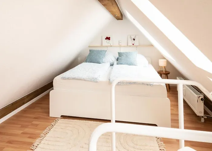 Black Forest Base-zentral Am Martinstor